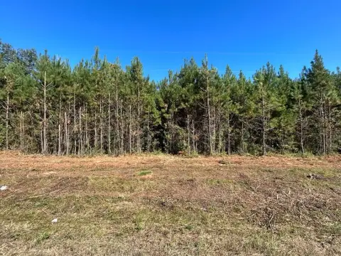 Residential Land in Cottonwood, AL