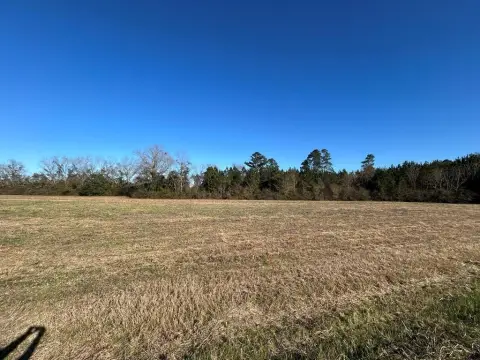 Residential Land in Cottonwood, AL
