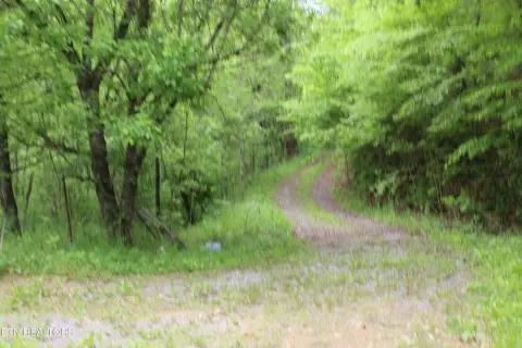 Wooded Commercial Land