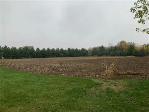 Residential Land in Racine, MN