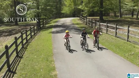 3.99 Acre Lot in Birmingham