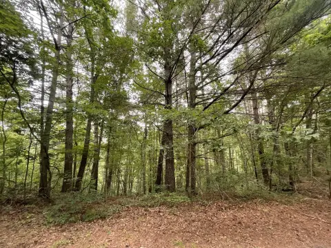 Secluded Land with Mountain Views