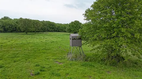 Hunting Land with Seasonal Creek