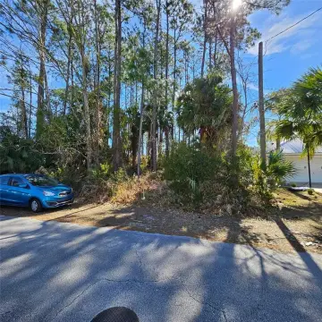 Wooded Residential Lot in Palm Coast