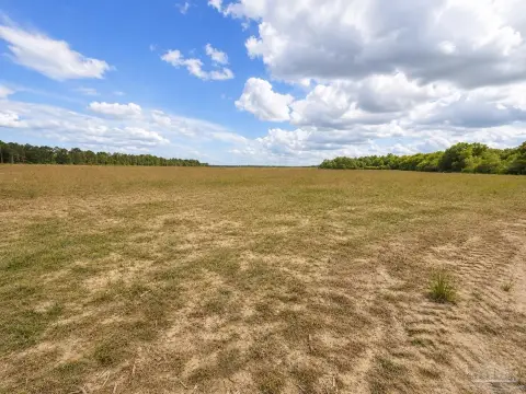 Walnut Hill 5-Acre Homesite