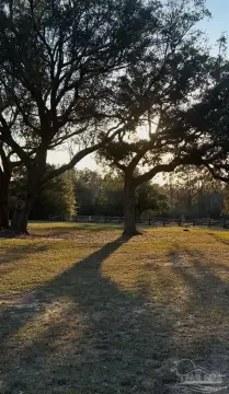 Three Acre Cleared Land