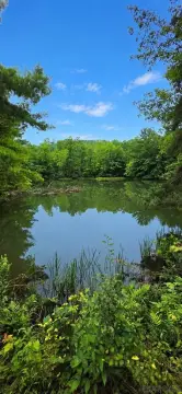 Agricultural Farmland with Spring-Fed Ponds