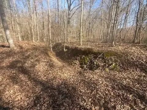 Wooded Hunting Land