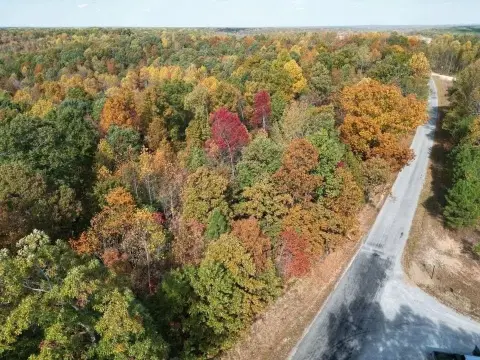 Wooded Land Tract