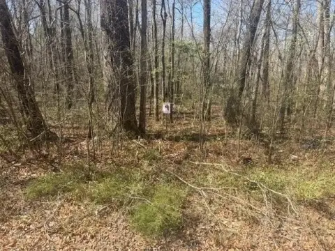 Wooded Recreational Land