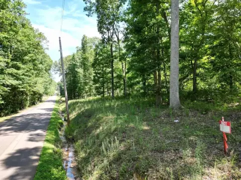 Wooded Unrestricted Land