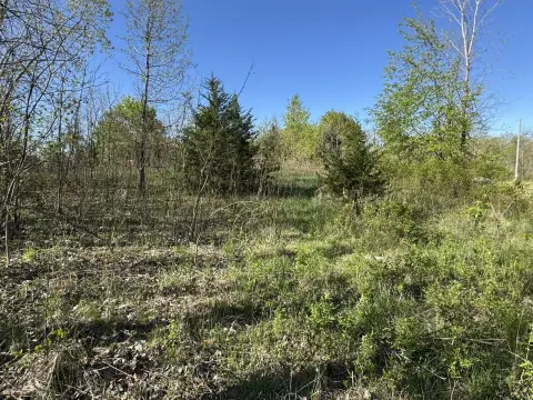 Land For Sale Eaton Rapids