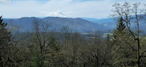 Rural Residential Homesite Parcel
