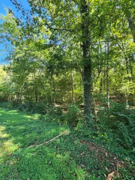Wooded Agricultural Land