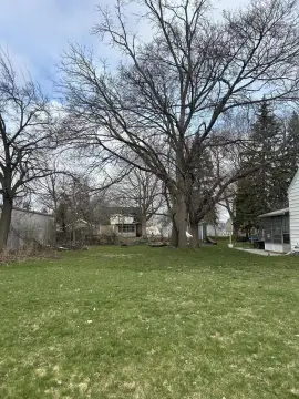 Grand Rapids Buildable Lot