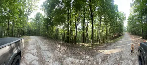 Ranger, GA Secluded Land