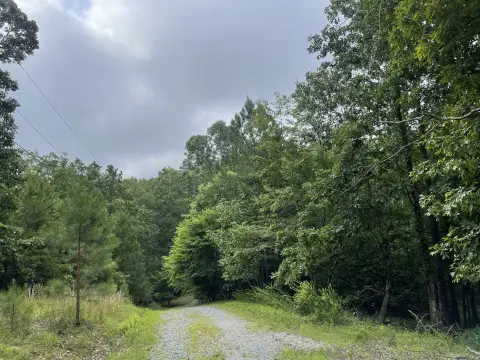 Secluded Lot in Ranger, Georgia