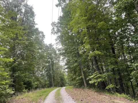 Ranger, GA Land For Sale