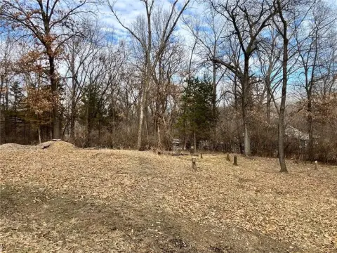Residential Lot in Kansas City