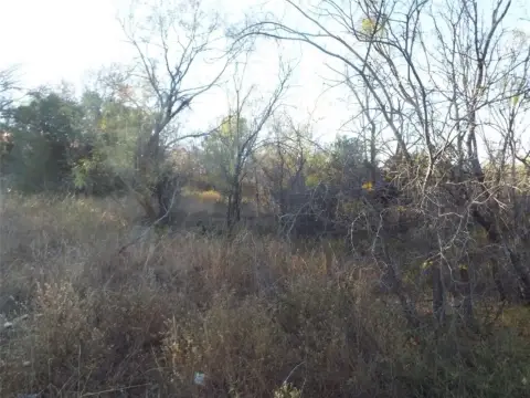 Land in Shamrock Shores, Brownwood