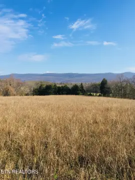 Agricultural Land with Creek Frontage
