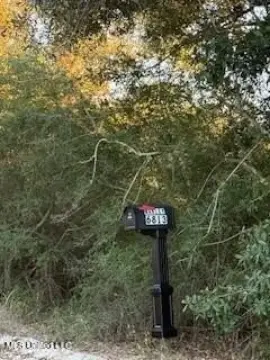 Waterfront Property in Ocean Springs