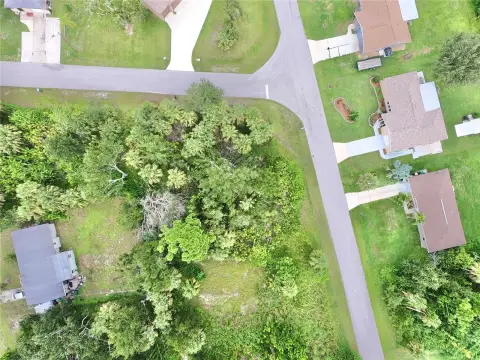 Expansive Corner Lot in Florida