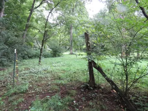 Agricultural Land Tract With Pasture