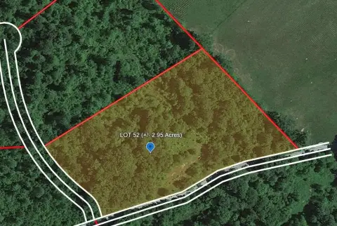 3 Acres Land in Bragg, WV