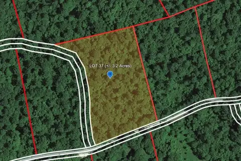 3+ Acre Wooded Land Parcel