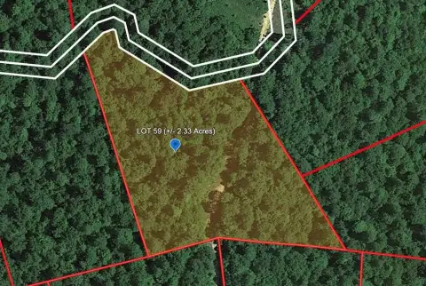 Wooded Land in Serenity Ridge