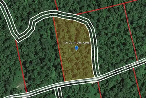 Wooded Lots in Bragg, WV