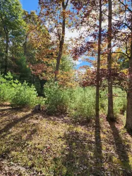 Residential Lot Near Resort Amenities