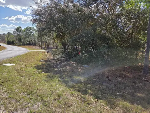 Corner Lot in Williston, FL