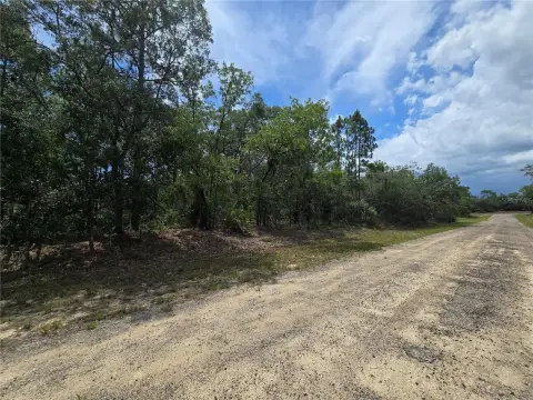 Residential Land in Citrus Springs