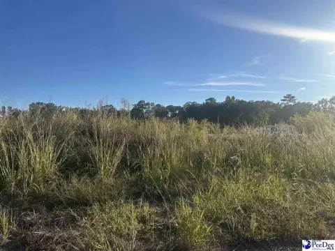 Residential Lot in Florence, SC