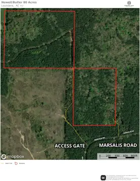 Hunting Land with Mature Pine Timber