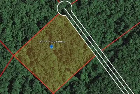 Wooded Land in Bragg, WV