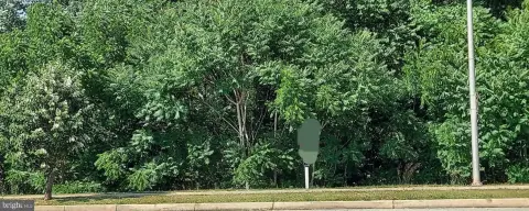 Land in Silver Spring, MD