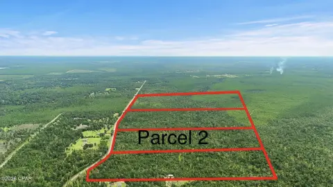 Undeveloped Timberland Parcel
