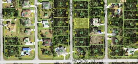 Port Charlotte Land Investment Opportunity