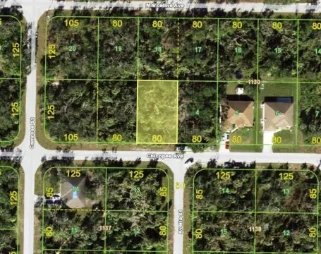 Port Charlotte Land Investment Opportunity
