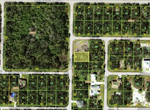Residential Lot in Port Charlotte