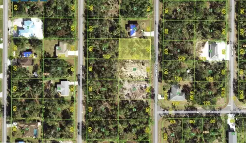 Port Charlotte Land Investment Opportunity