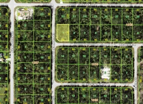 Port Charlotte Land Investment Opportunity