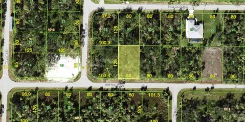 Port Charlotte Land Investment Opportunity