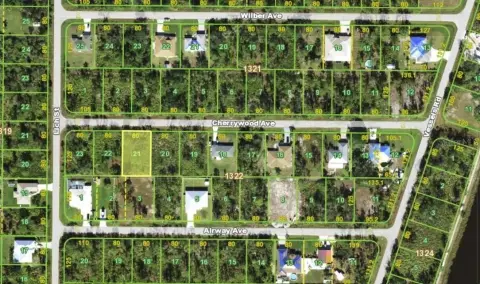 Residential Lot in Punta Gorda