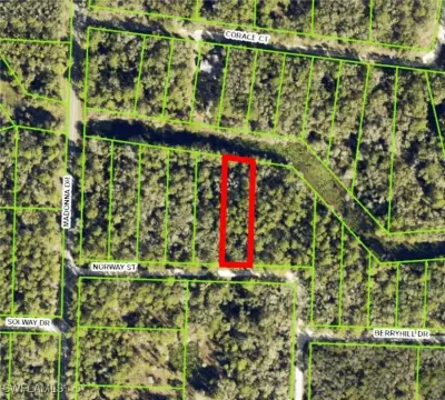 Waterfront Lot in Webster, Florida