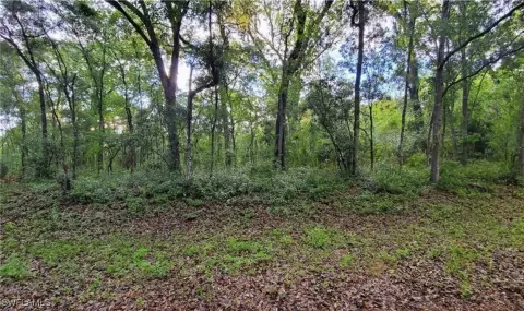 Webster, FL Scenic Lot
