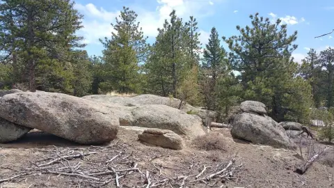 Red Feather Lakes Land Parcel